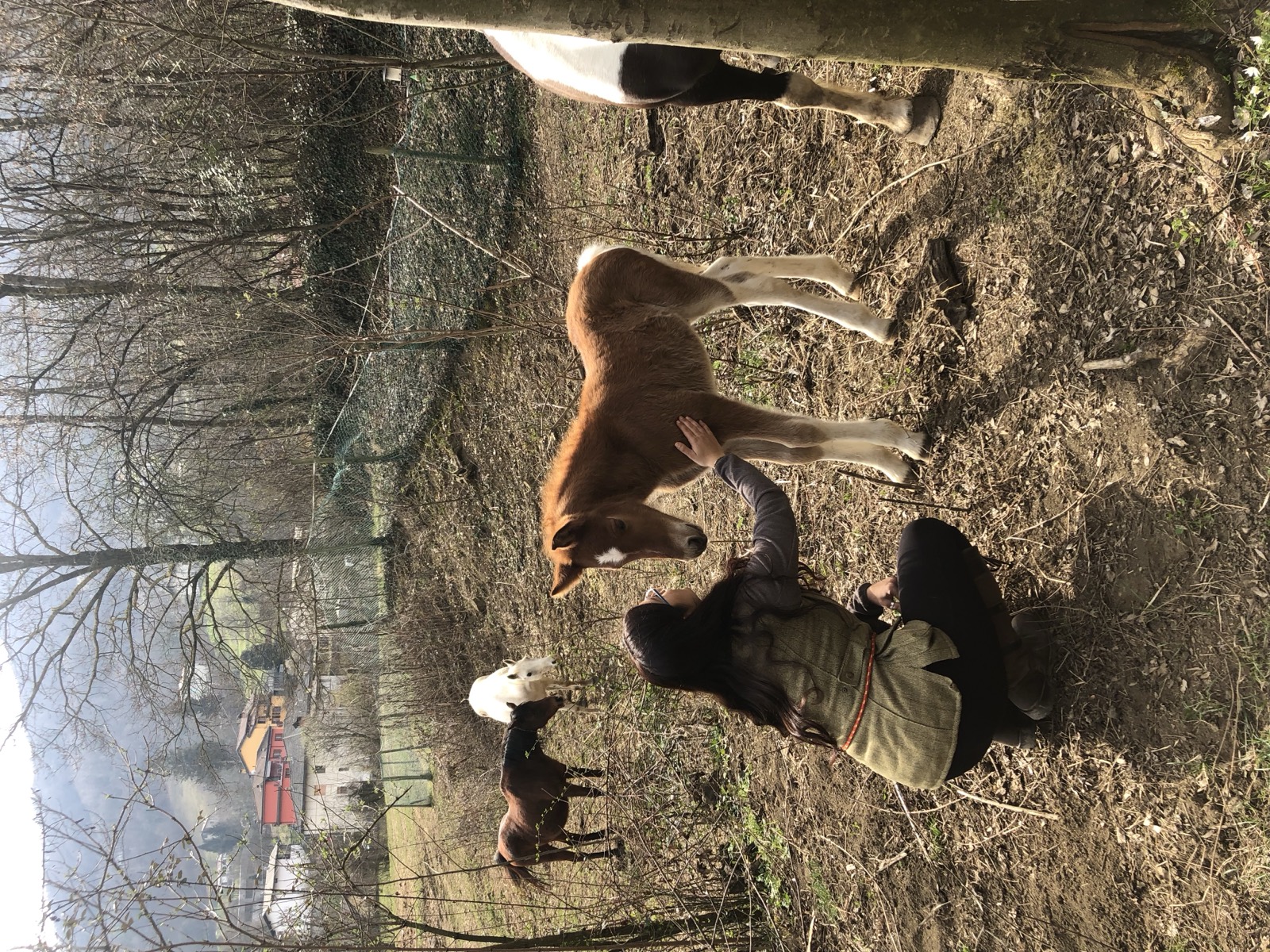 Primi momenti con Otto