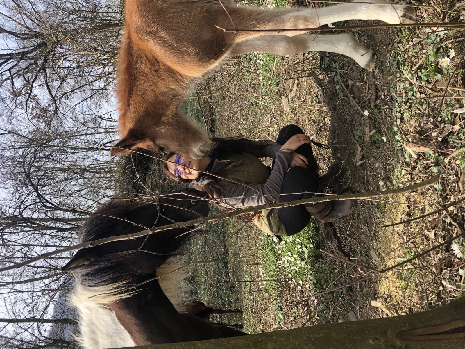 Momento all'aperto con cavallo in formato orizzontale