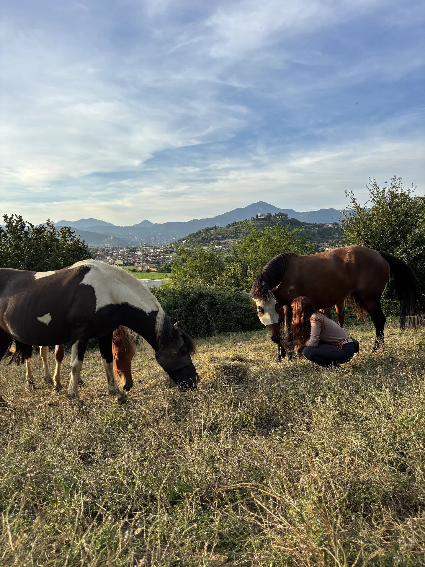 Laura con i suoi cavalli al pascolo in un prato verde con montagne sullo sfondo