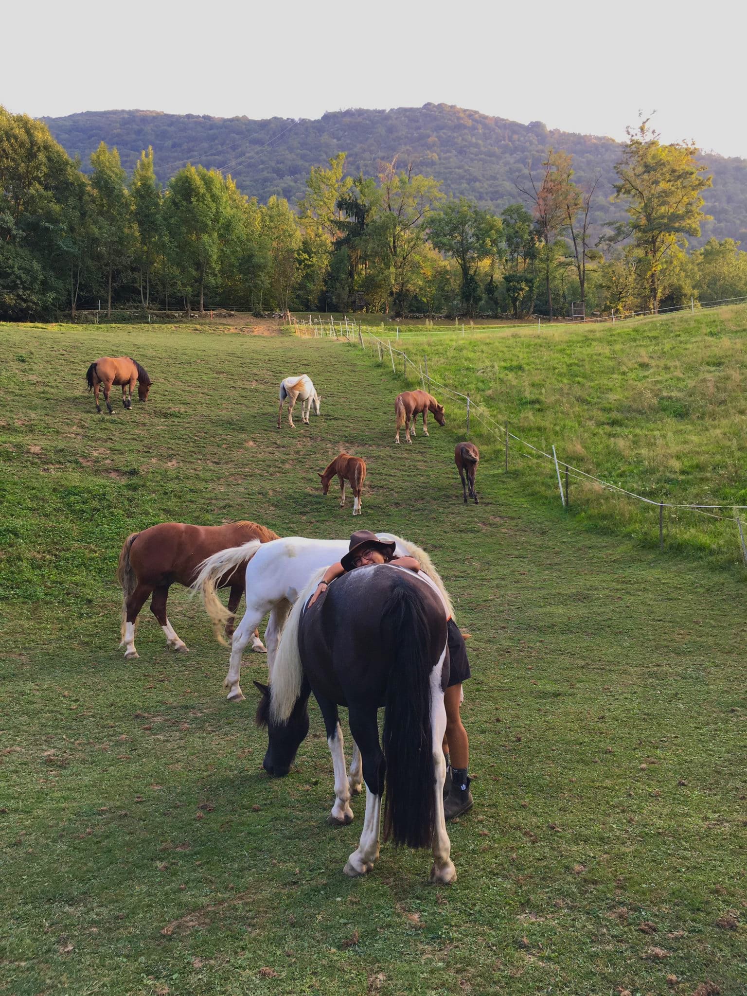 Addestratrice equina professionista